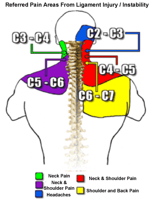 C2 Dermatome